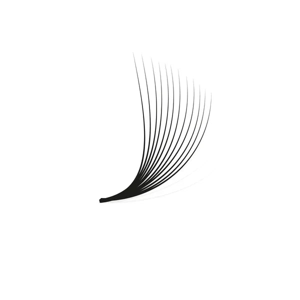 Volume Lashes